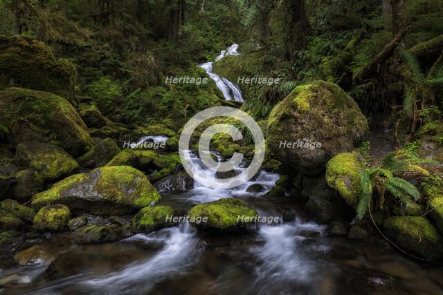 Bunch Falls. Creator: Joshua Johnston.