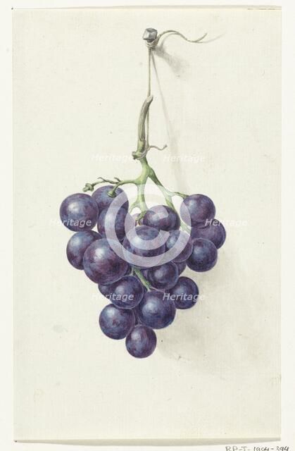 Bunch of blue grapes, 1775-1833. Creator: Jean Bernard.