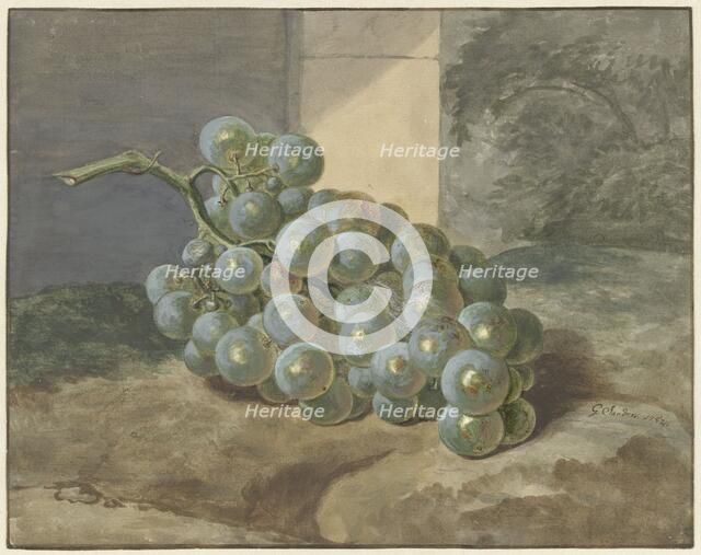 Bunch of grapes, 1754. Creator: Gerard Sanders.