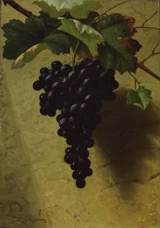 Bunch of Grapes, 1870s. Creator: Andrew John Henry Way