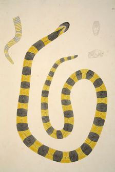 Bungarum Pamah, pub. 1796 (hand coloured engravings). Creator: William Skelton (1763 - 1848)