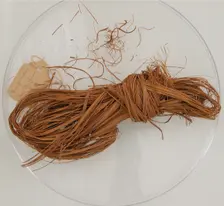 Bundle of Grass, Coptic, 580-640. Creator: Unknown