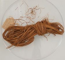 Bundle of Grass, Coptic, 580-640. Creator: Unknown