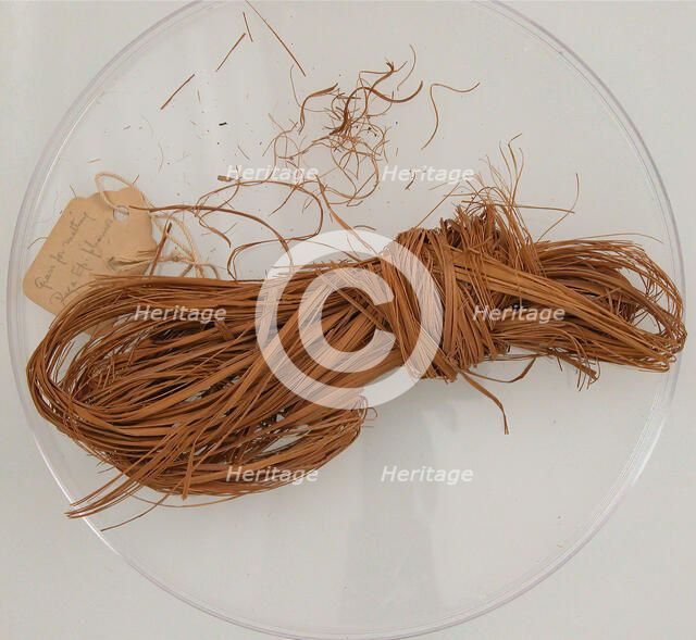 Bundle of Grass, Coptic, 580-640. Creator: Unknown.