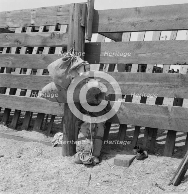 Bundles against cattle corrals by the railroad..., Washington, Yakima Valley, near Toppenish, 1939. Creator: Dorothea Lange.