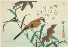 Bunting and lilies, 1830s-1840s. Creator: Ando Hiroshige