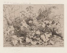 Burdock in Bloom, 1858. Creator: Eugene Blery