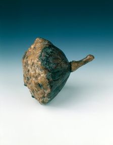 Burlwood lotus pod, China, 17th century (?). Creator: Unknown