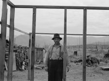 Burned out in Montana..., Priest River country, Bonner County, Idaho, 1939. Creator: Dorothea Lange