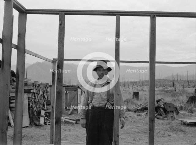 Burned out in Montana..., Priest River country, Bonner County, Idaho, 1939. Creator: Dorothea Lange.