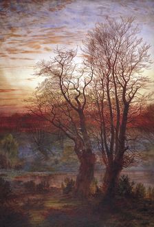 Burnham Beeches c1841-1902. Artist: Andrew MacCallum