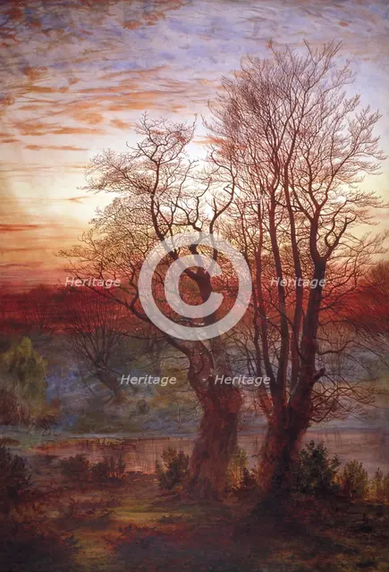 'Burnham Beeches', c1841-1902. Artist: Andrew MacCallum