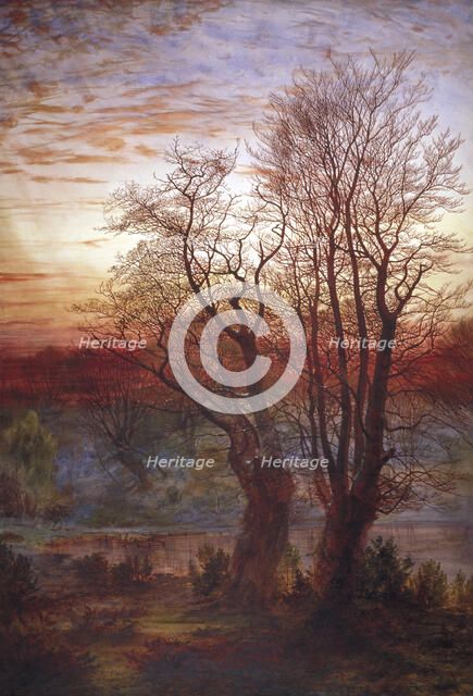 'Burnham Beeches', c1841-1902. Artist: Andrew MacCallum