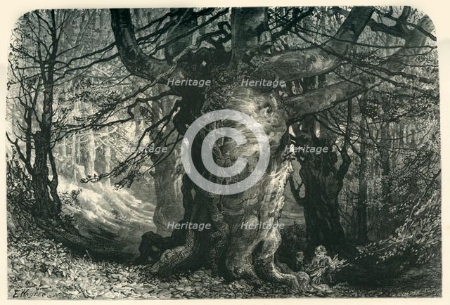 'Burnham Beeches', c1870.