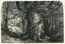 Burnham Beeches c1870