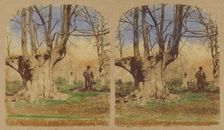 Burnham Beeches. (The finest Specimens in the World.), 1857-1859. Creator: William Morris Grundy