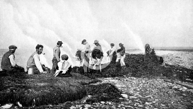 Burning seaweed for kelp, Aran Islands, Ireland, 1922.Artist: AW Cutler