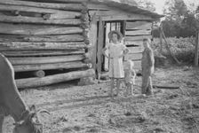 Burroughs children and cow near the barn, Hale County, Alabama, 1936. Creator: Walker Evans