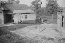 Burroughs children and cow near the barn, Hale County, Alabama, 1936. Creator: Walker Evans