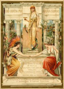 Burrough's Wellcome & Co, 19th century