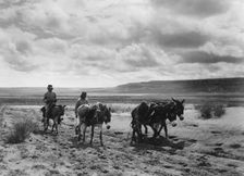 Burros and Moki men on the road, c1900. Creator: Edward Sheriff Curtis