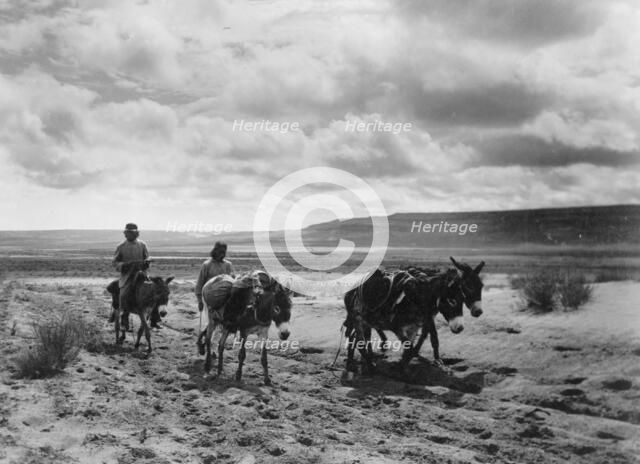 Burros and Moki men on the road, c1900. Creator: Edward Sheriff Curtis.