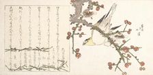Bush Warbler on a Plum Branch (Ume ni uguisu), early 19th century. Creator: Totoya Hokkei