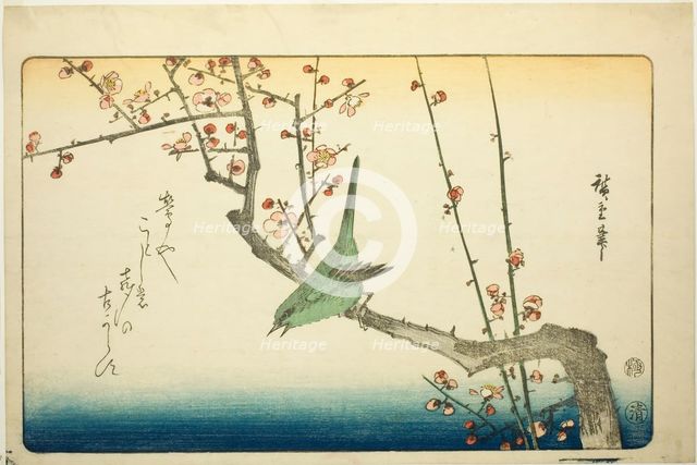 Bush warbler on plum branch, 1840s. Creator: Ando Hiroshige.