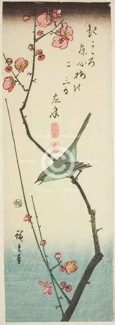 Bush warbler on plum branch, c. 1843/47. Creator: Ando Hiroshige.