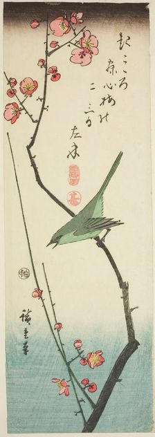 Bush warbler on plum branch, c. 1843/47. Creator: Ando Hiroshige