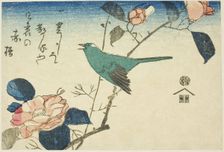 Bush warbler and camellia, n.d. Creator: Ando Hiroshige