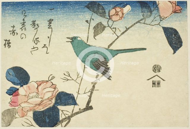 Bush warbler and camellia, n.d. Creator: Ando Hiroshige.