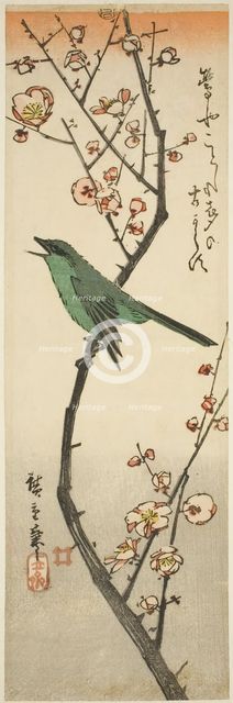 Bush warbler and plum, 1840s. Creator: Ando Hiroshige.