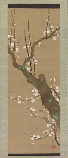 Bush Warbler (Uguisu) in a Plum Tree, early 19th century. Creator: Sakai Hoitsu