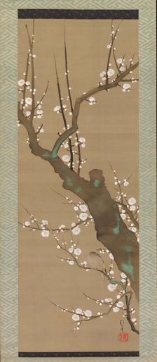 Bush Warbler (Uguisu) in a Plum Tree, early 19th century. Creator: Sakai Hoitsu