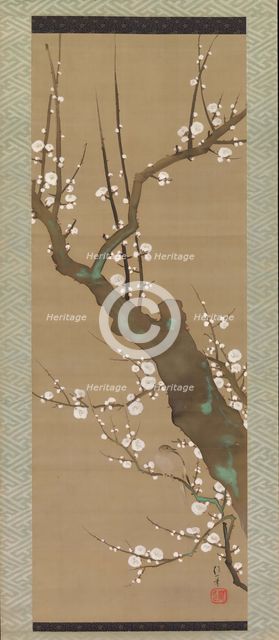 Bush Warbler (Uguisu) in a Plum Tree, early 19th century. Creator: Sakai Hoitsu.