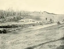 'Bush Workman's Home, Gippsland, Victoria 1901. Creator: Unknown