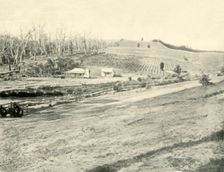 'Bush Workman's Home, Gippsland, Victoria 1901. Creator: Unknown