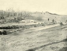 'Bush Workman's Home, Gippsland, Victoria 1901. Creator: Unknown