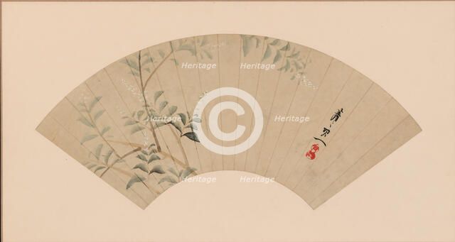 Bush Clover. Creator: Suzuki Kiitsu.