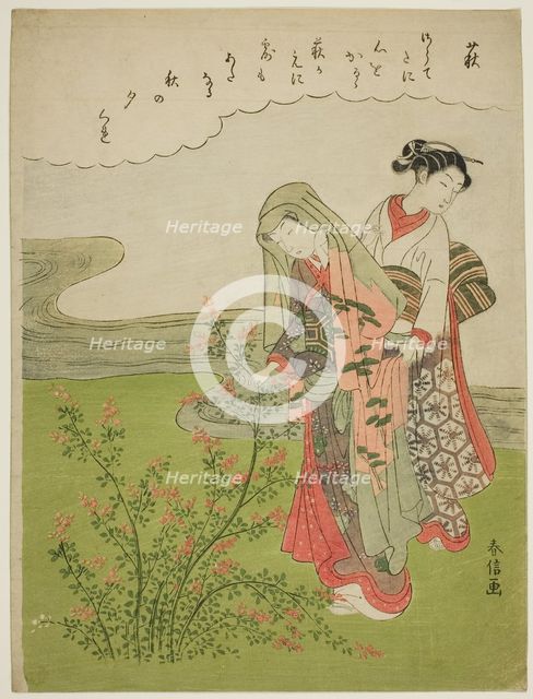 Bush Clover (Hagi), from an untitled series of Flowers, c. 1769. Creator: Suzuki Harunobu.