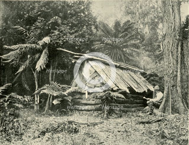 'Bush Hut, Dandenong Ranges, Victoria', 1901. Creator: Unknown.