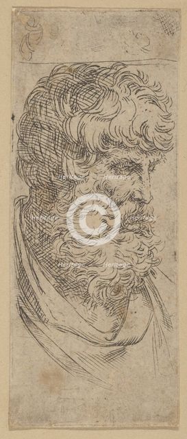 Bust of a bearded man, ca. 1600-1640. Creator: Guido Reni.
