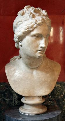 Bust of Aphrodite, Goddess of Beauty and Love