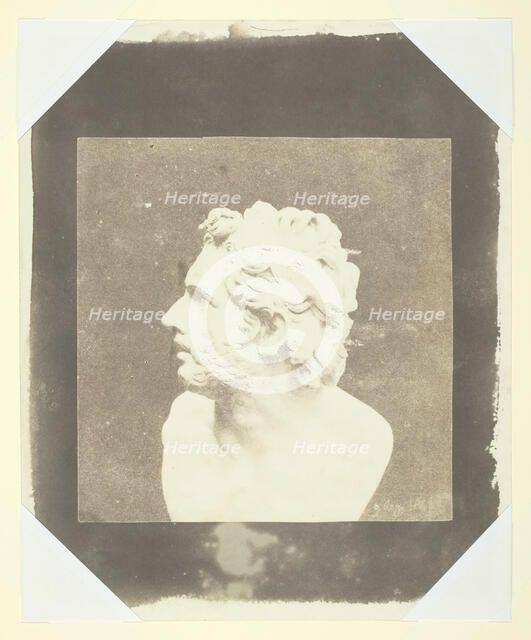 Bust of Patroclus, August 9, 1843. Creator: William Henry Fox Talbot.