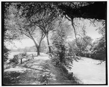 By the Swannanoa, Asheville, N.C., c1902. Creator: William H. Jackson
