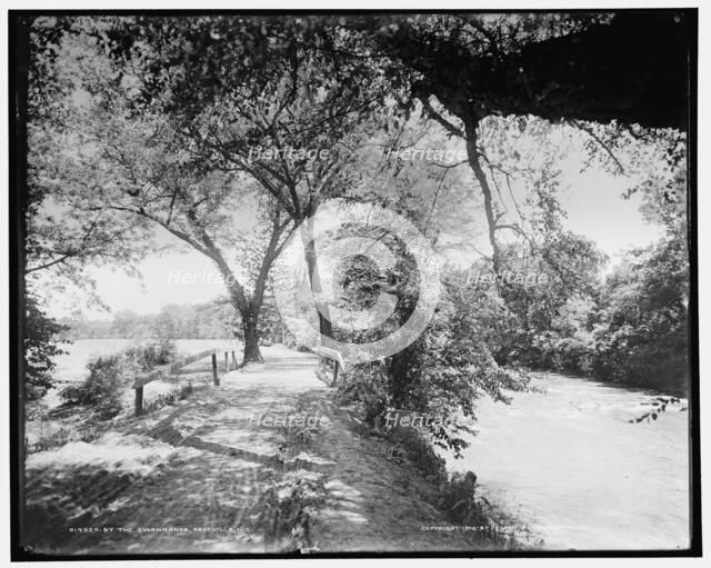 By the Swannanoa, Asheville, N.C., c1902. Creator: William H. Jackson.
