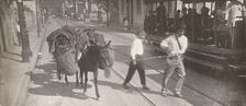 By tram and mule 1914