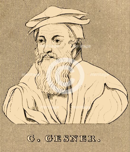 'C. Gesner', (1516-1565), 1830. Creator: Unknown.
