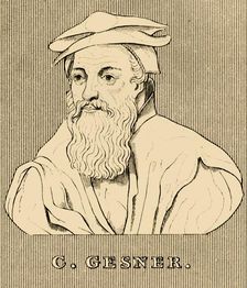 C. Gesner (1516-1565), 1830. Creator: Unknown